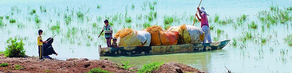 当地人横穿伊拉克 Majnoon 项目附近被洪水淹没的哈维则沼泽 (Hawizeh Marshes)